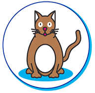 chat obèse